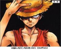   Luffy king the pirates
