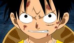   The King Monky D Luffy